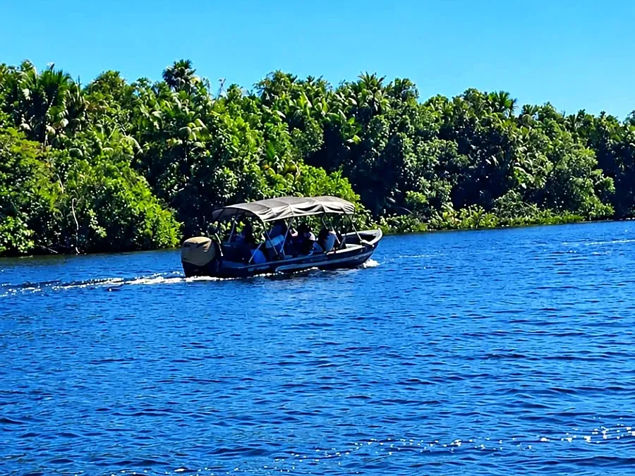 Barco de passeio navegando pelo rio entre a vegetação verde a caminho de Caburé